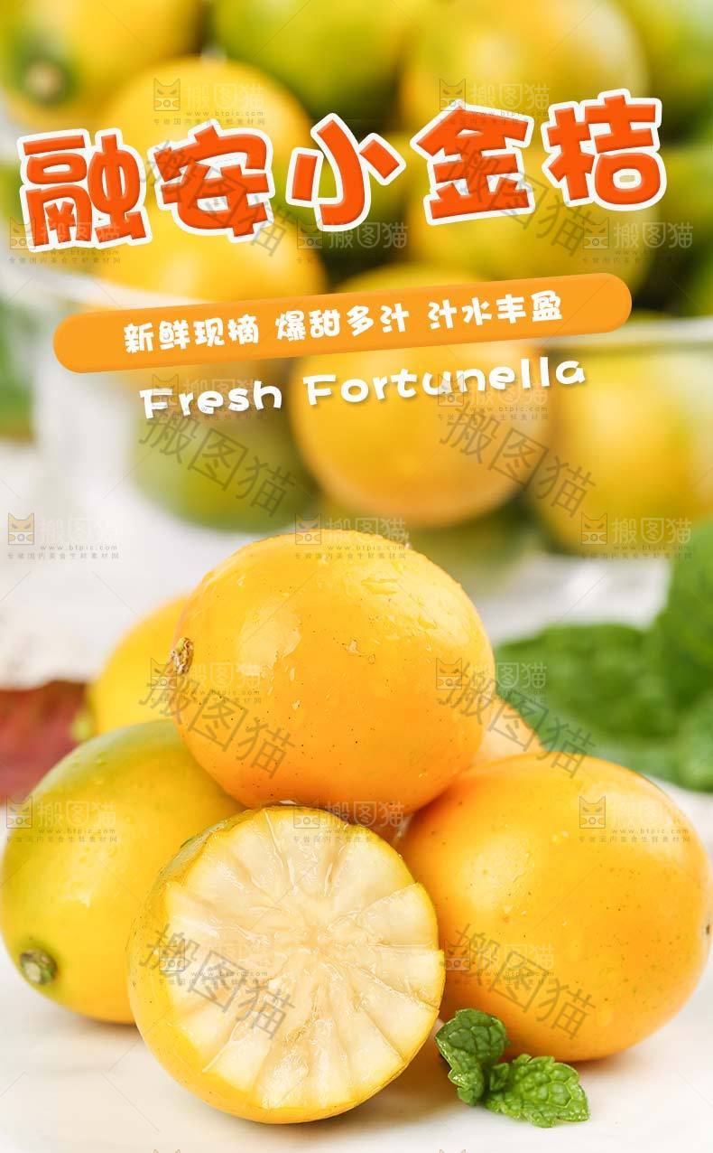 融安小金桔详情页