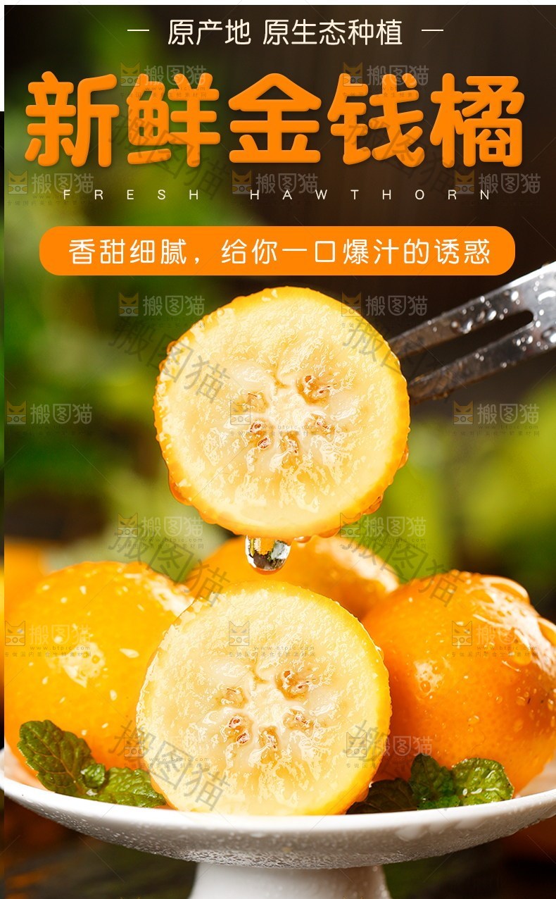 新鲜金钱橘详情