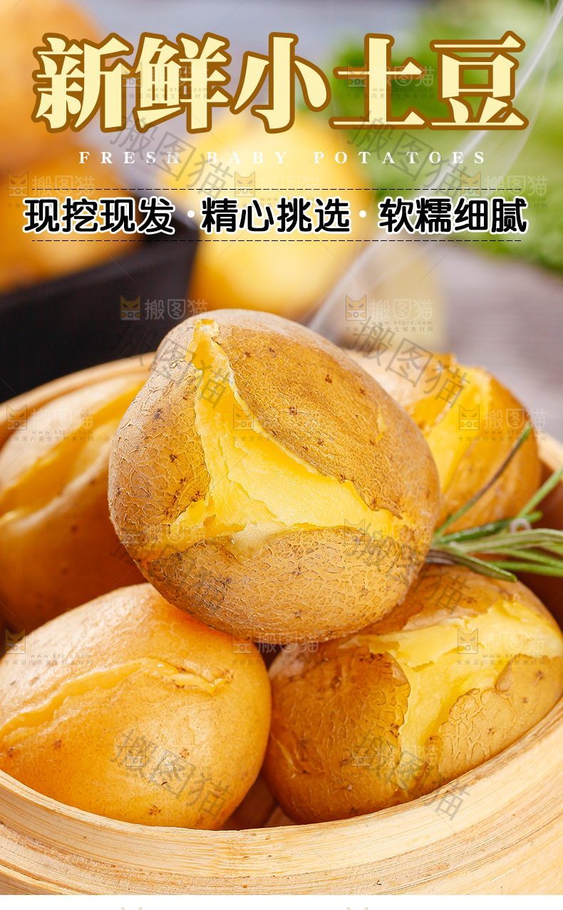 新鲜小土豆详情