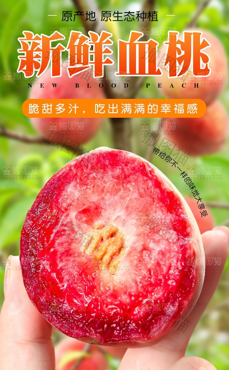 新鲜血桃详情