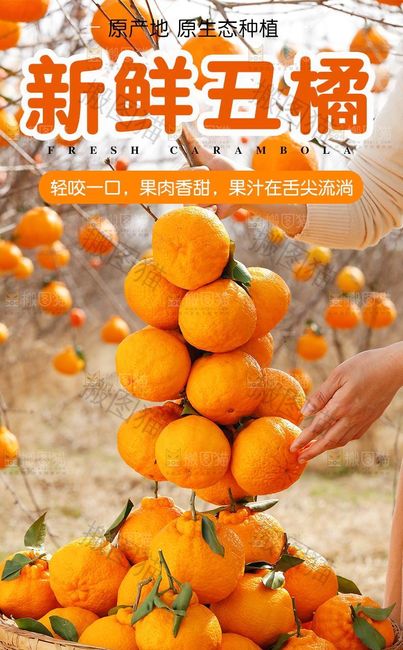 新鲜丑橘详情页设计