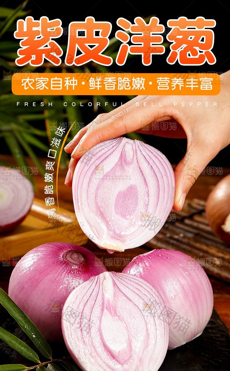 紫皮洋葱详情