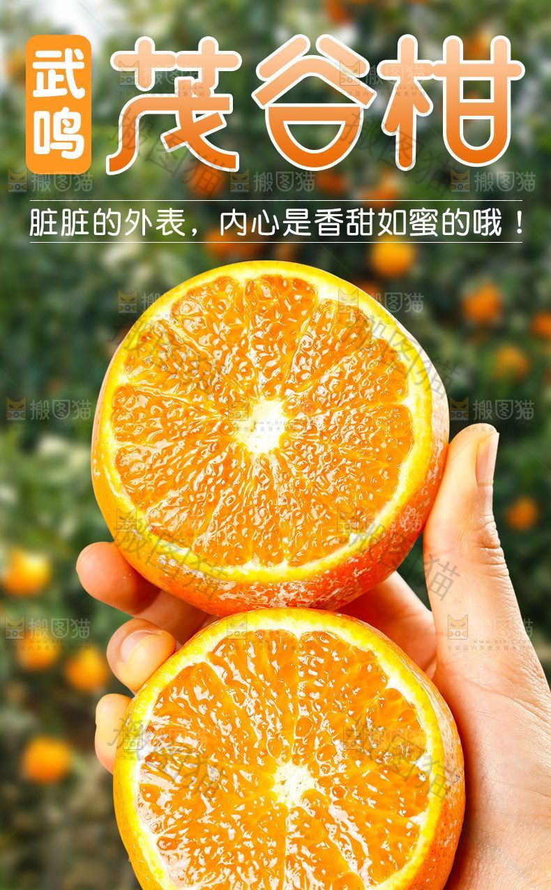 武鸣茂谷柑详情页设计