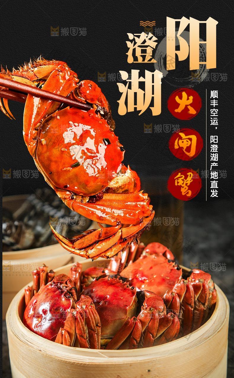 阳澄湖大闸蟹详情
