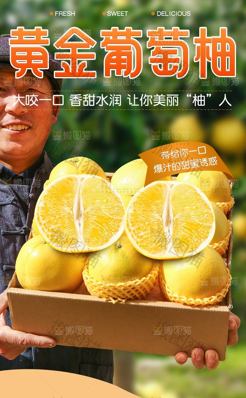 黄金葡萄柚详情