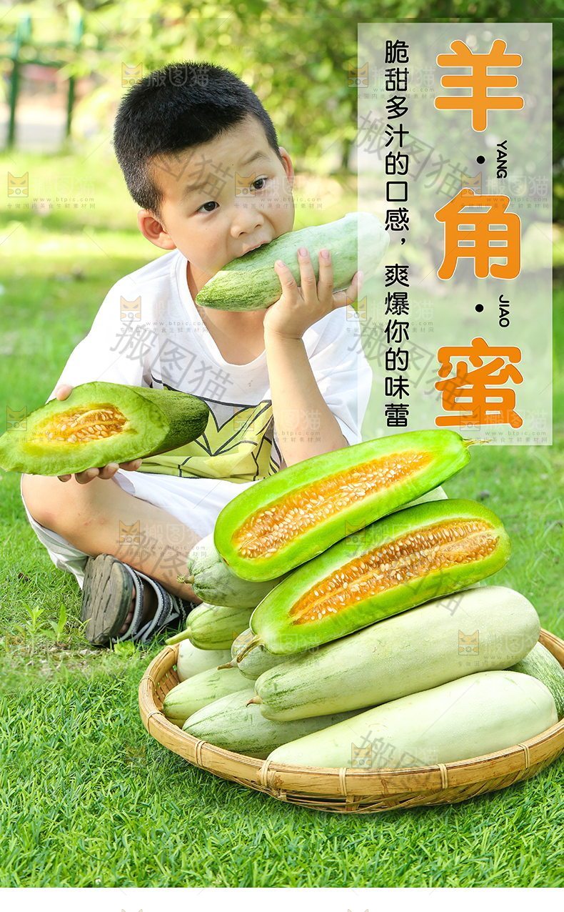羊角蜜详情