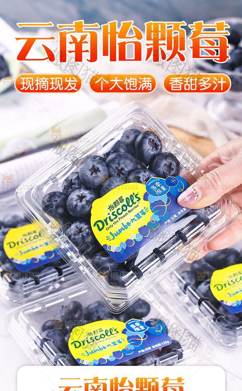云南怡颗莓详情