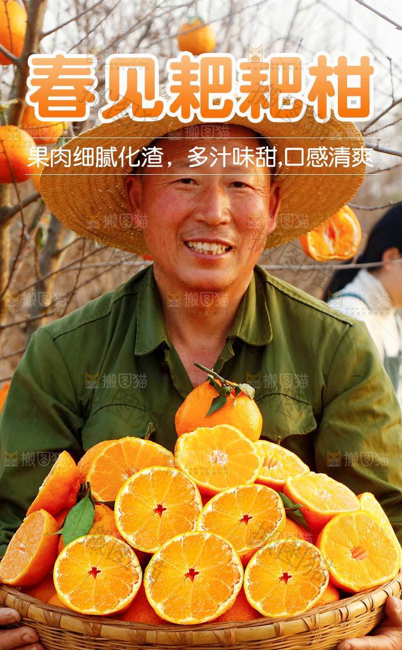 春见耙耙柑详情页