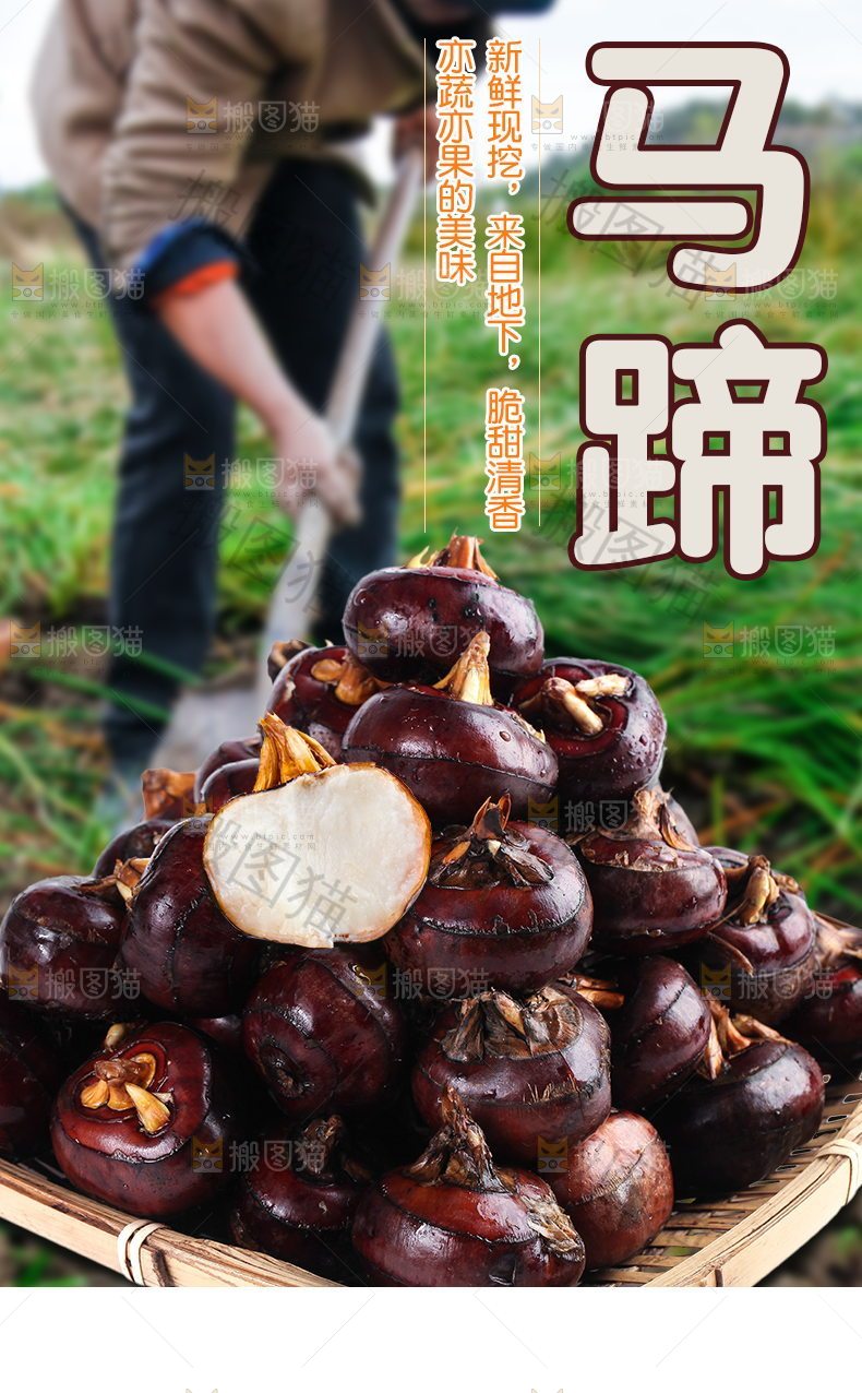 马蹄详情页