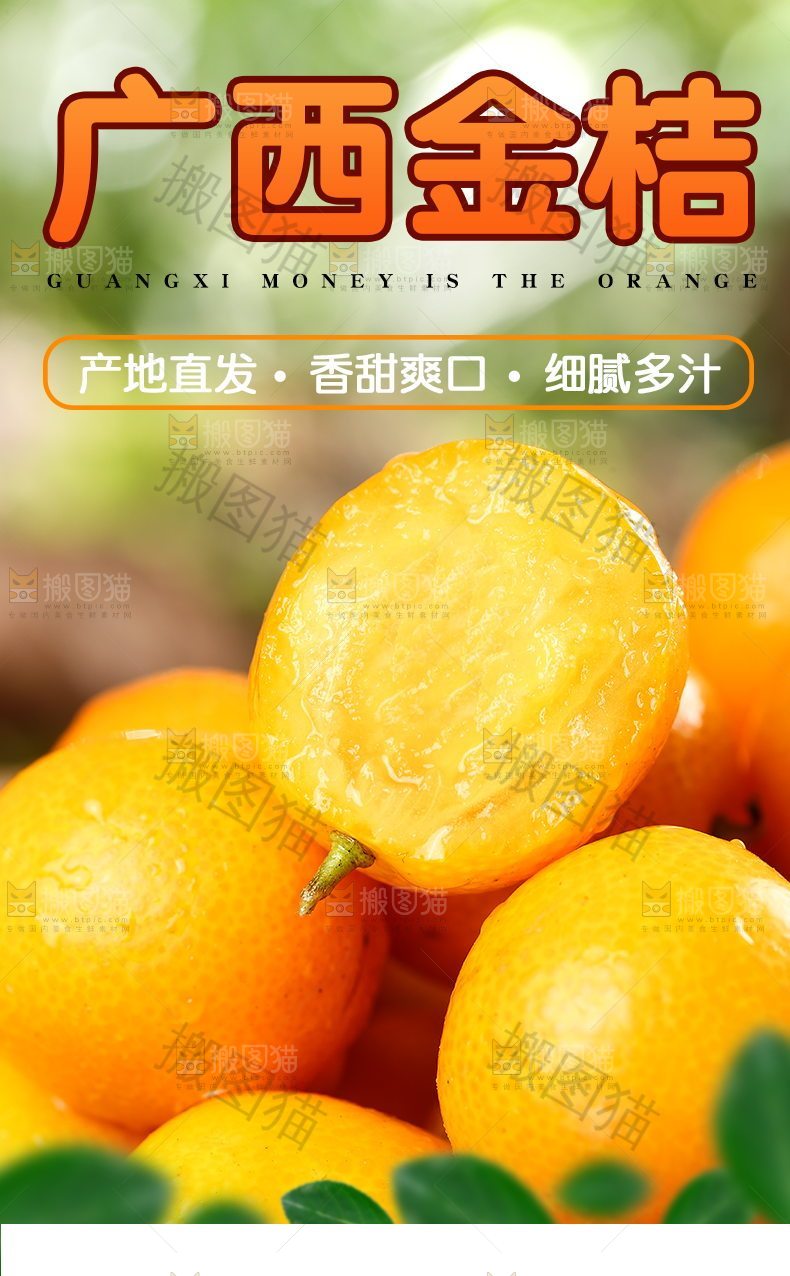 广西金桔详情页