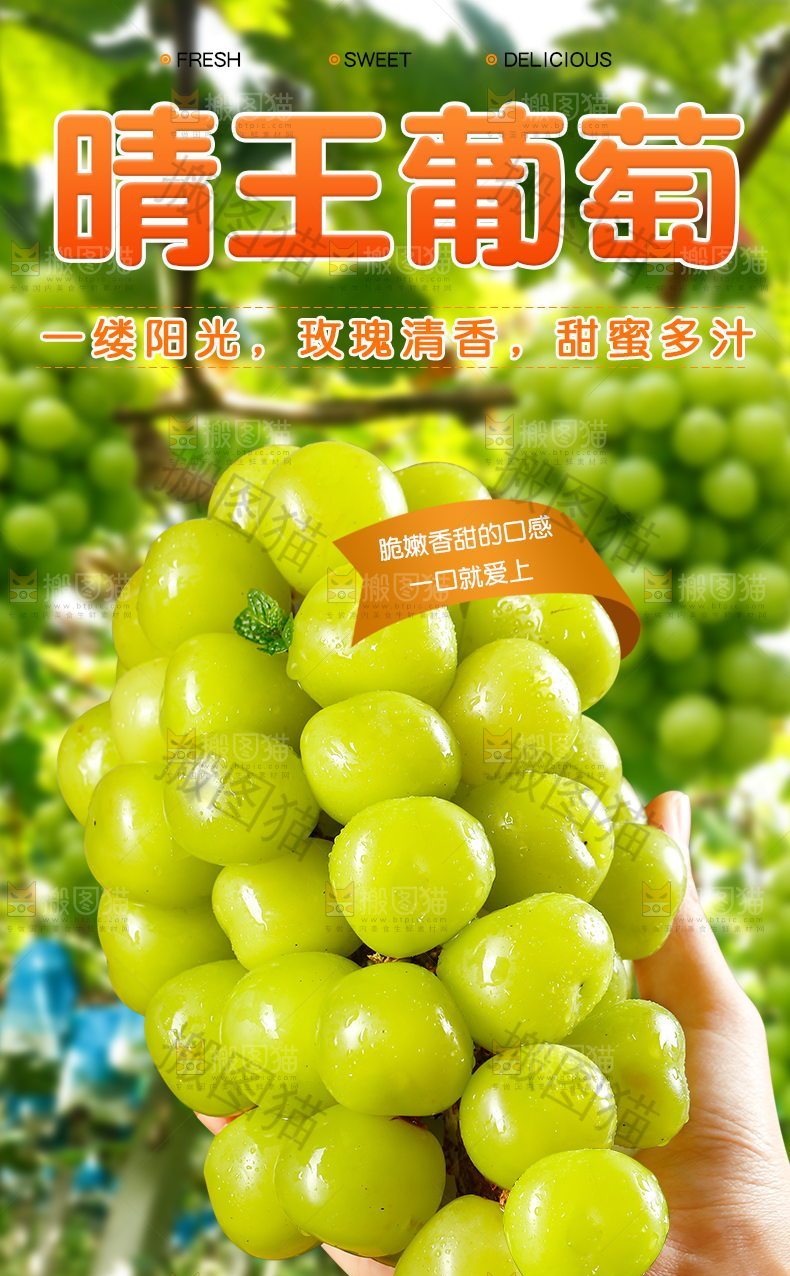 晴王葡萄详情页设计