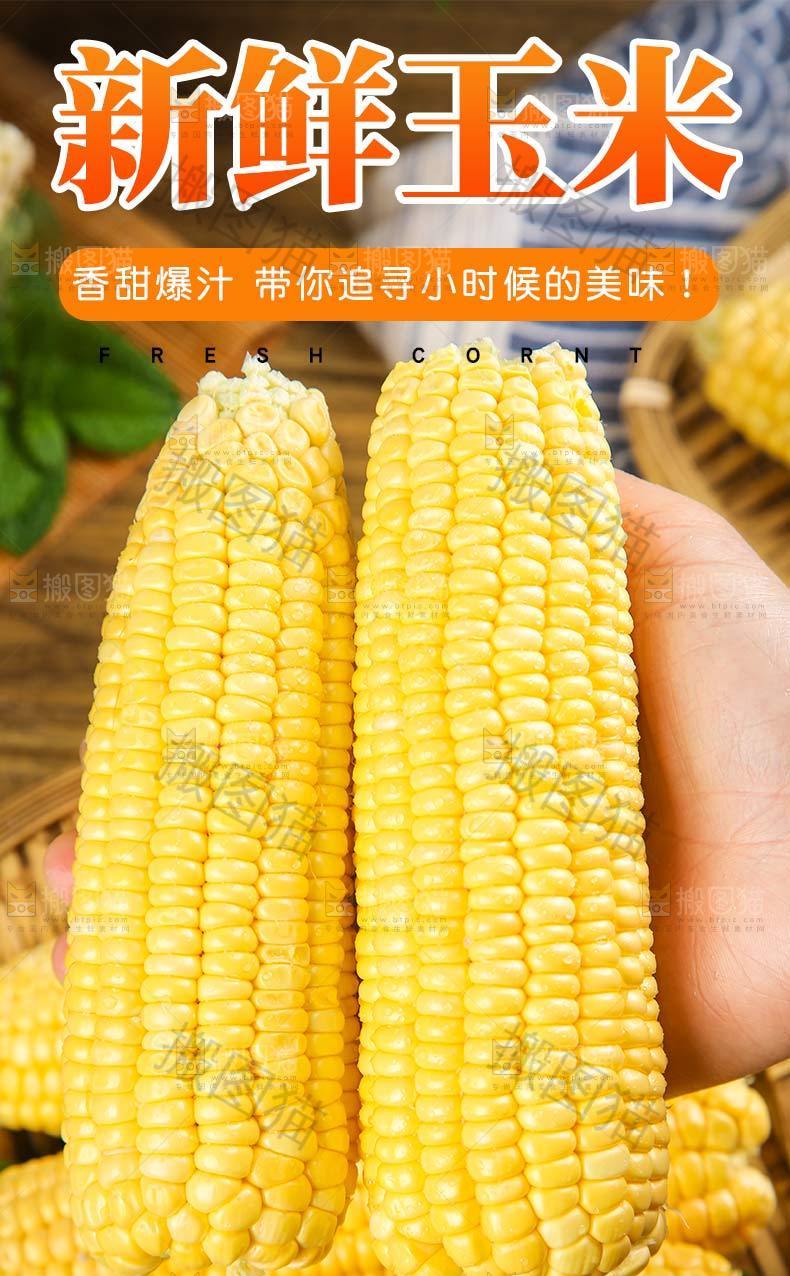 新鲜玉米详情
