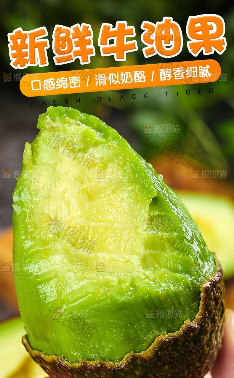 新鲜牛油果详情