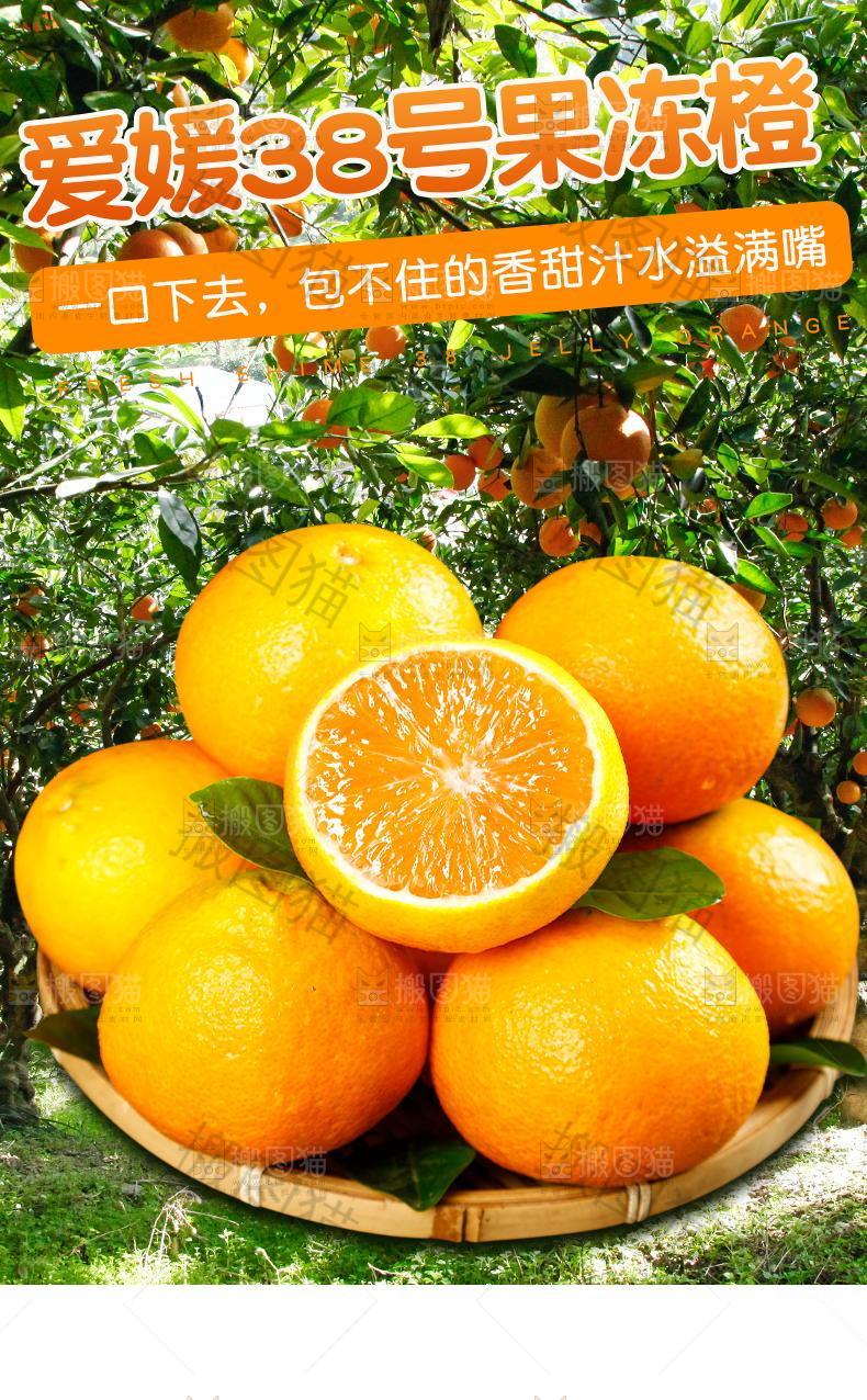 爱媛38号果冻橙详情