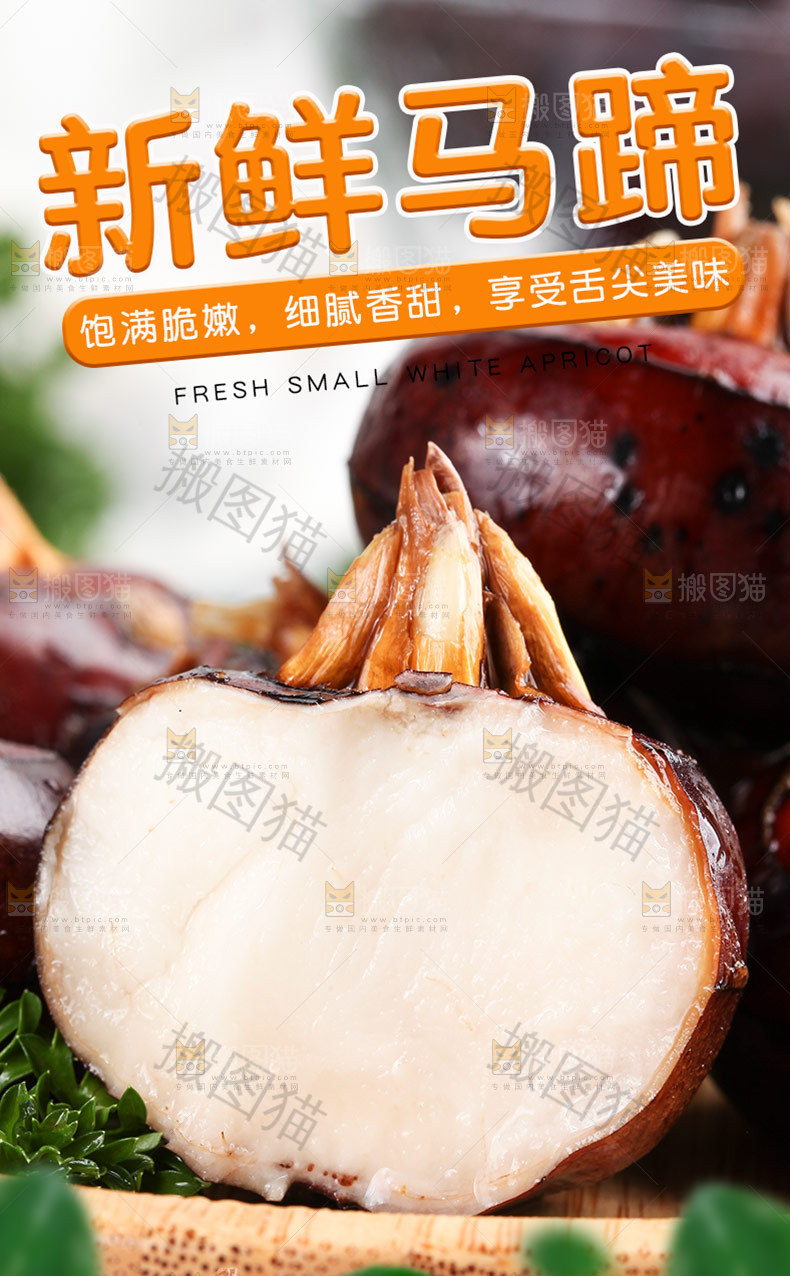 新鲜马蹄
