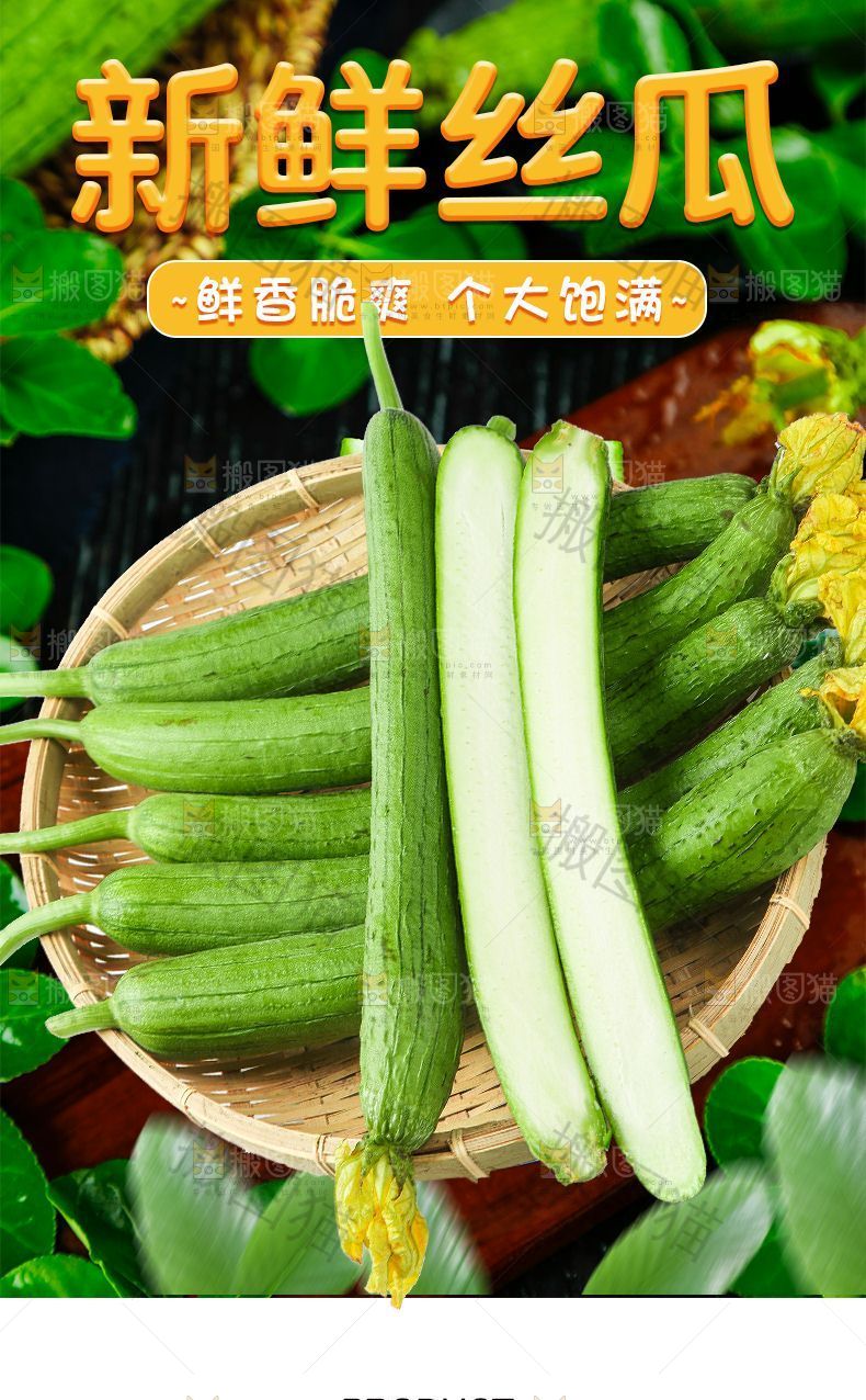 新鲜丝瓜
