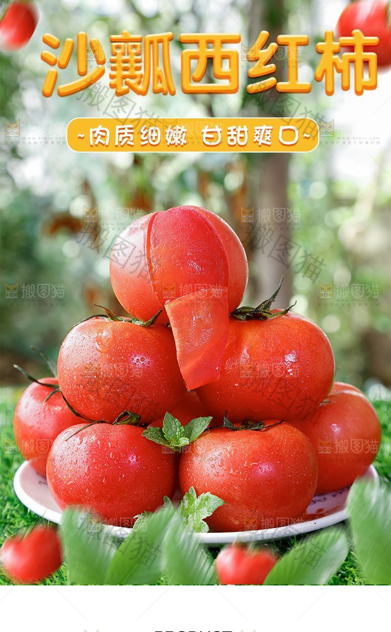 沙瓤西红柿详情