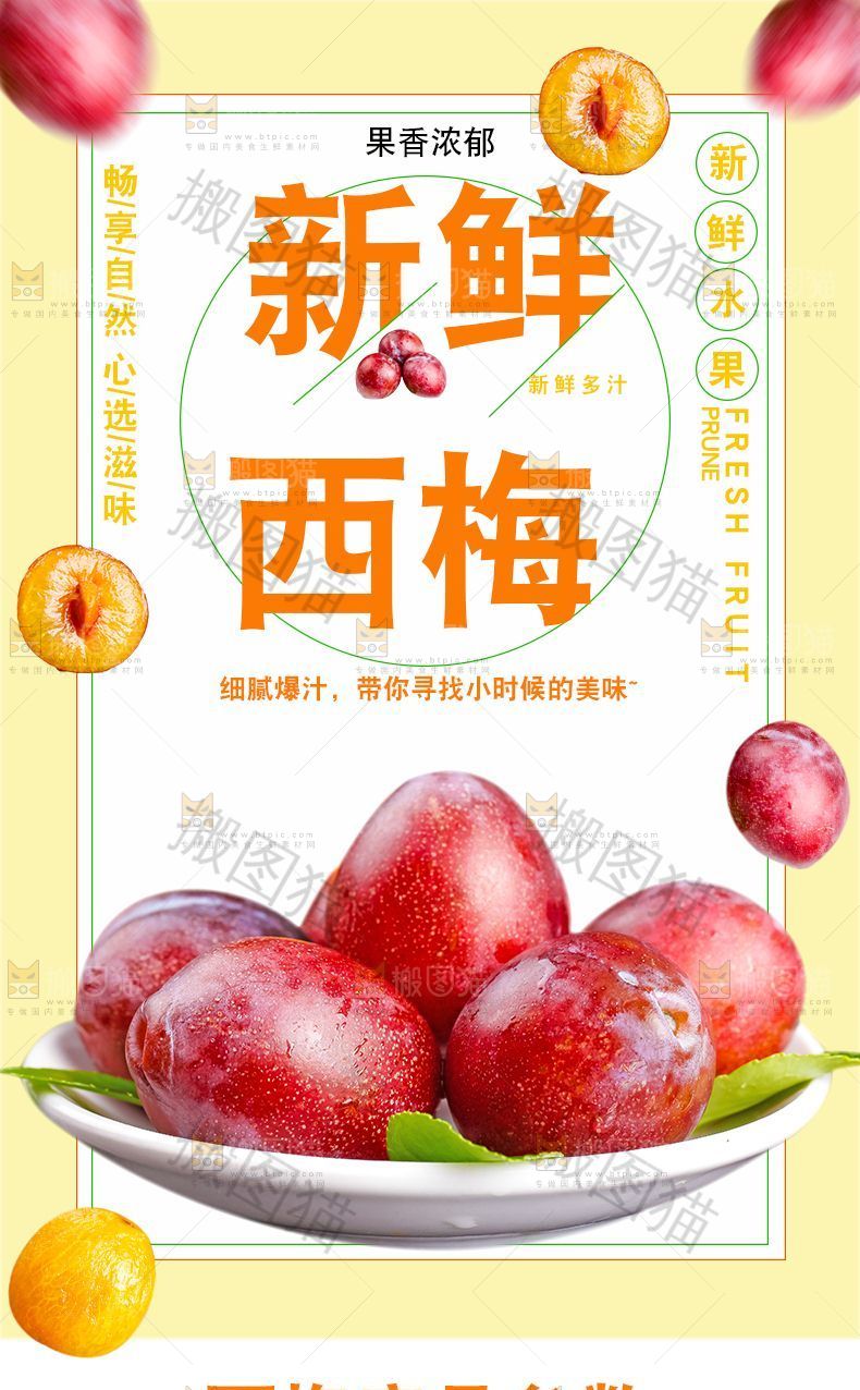 新鲜西梅详情