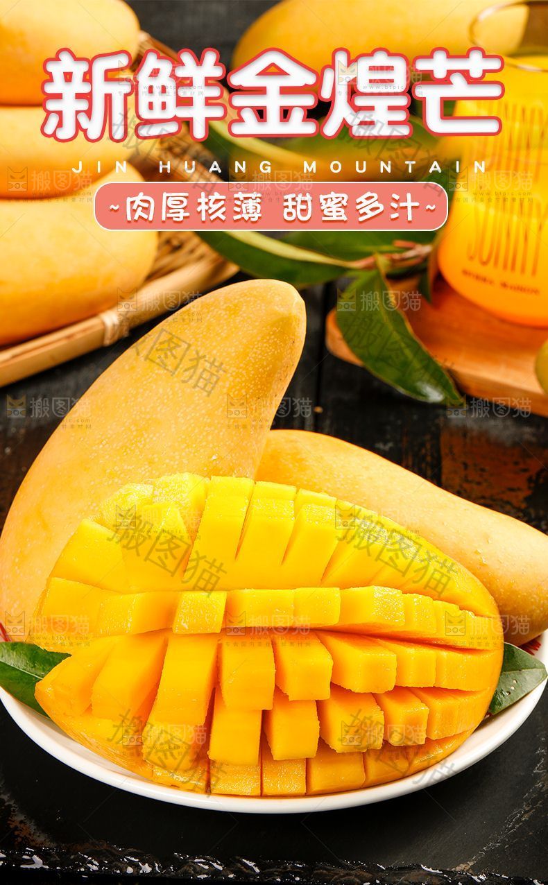 新鲜金煌芒