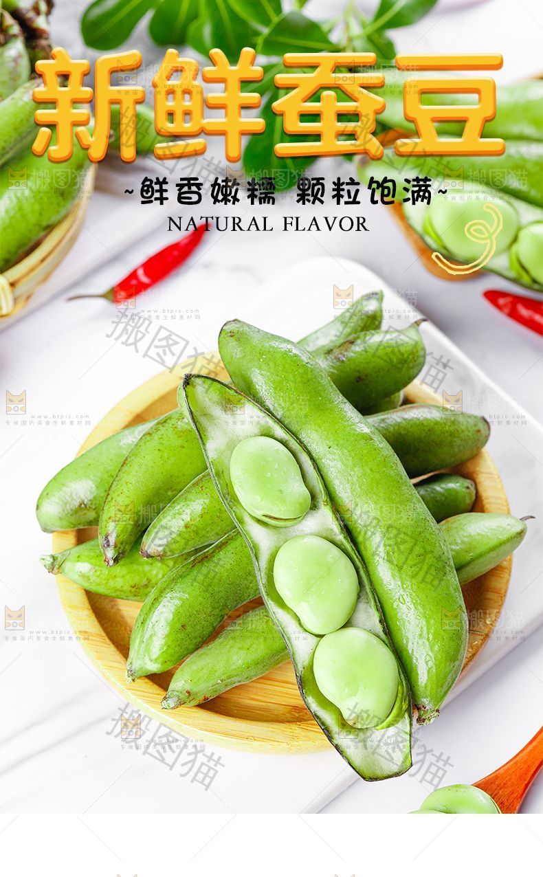 新鲜蚕豆详情