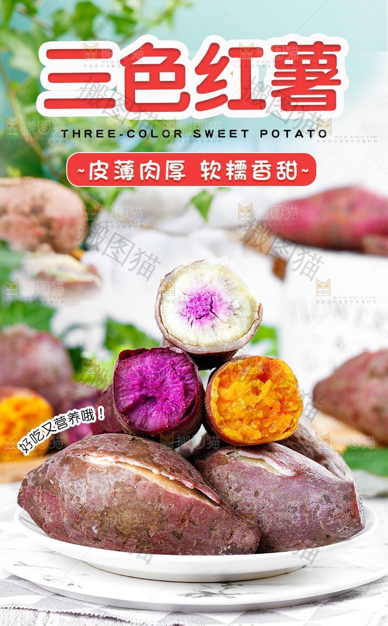 三色红薯详情
