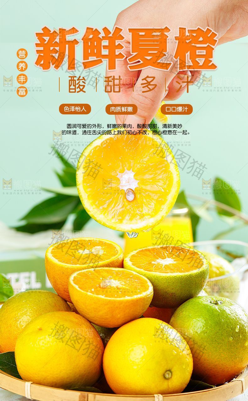 新鲜夏橙