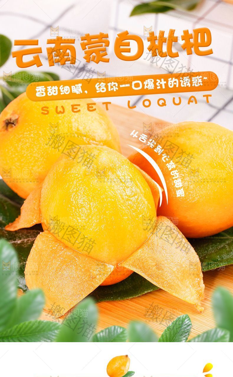 云南蒙自枇杷详情
