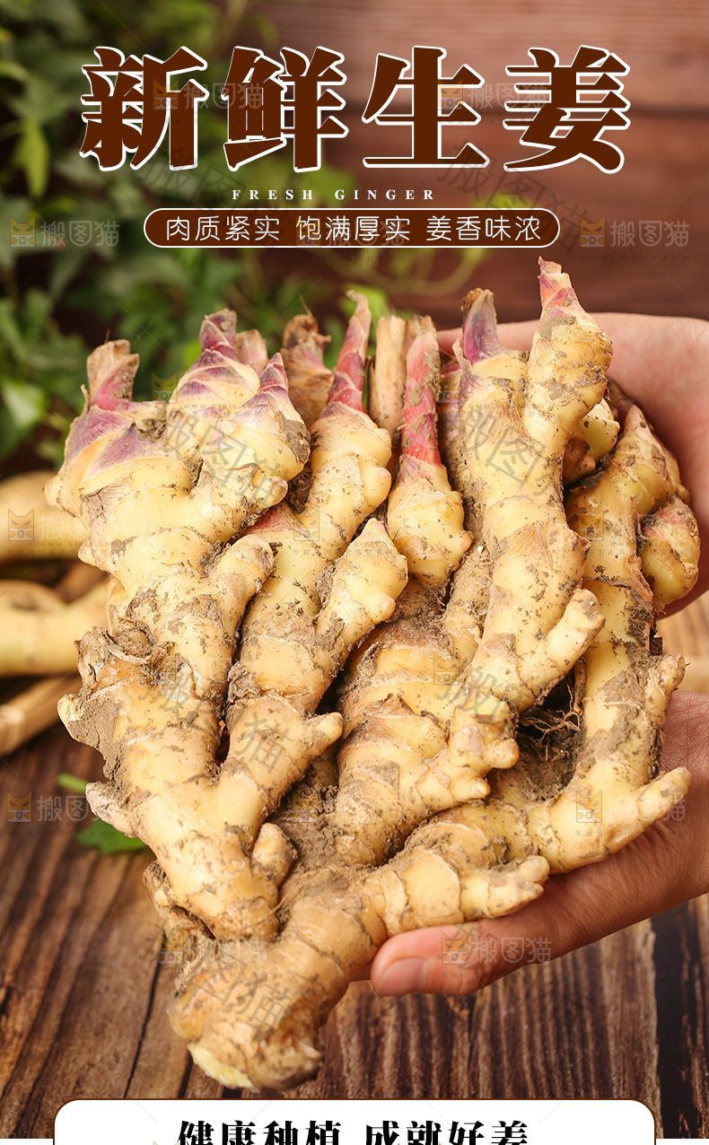 新鲜生姜