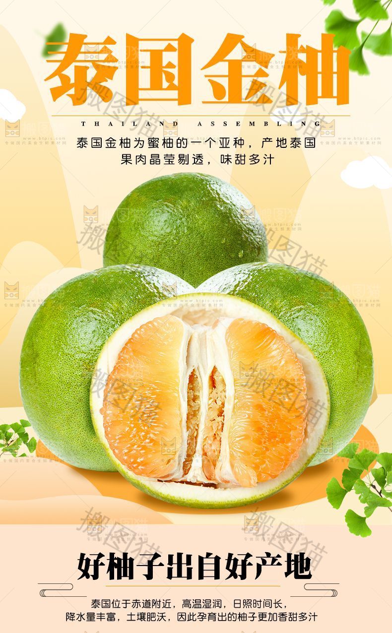 泰国金柚详情页设计