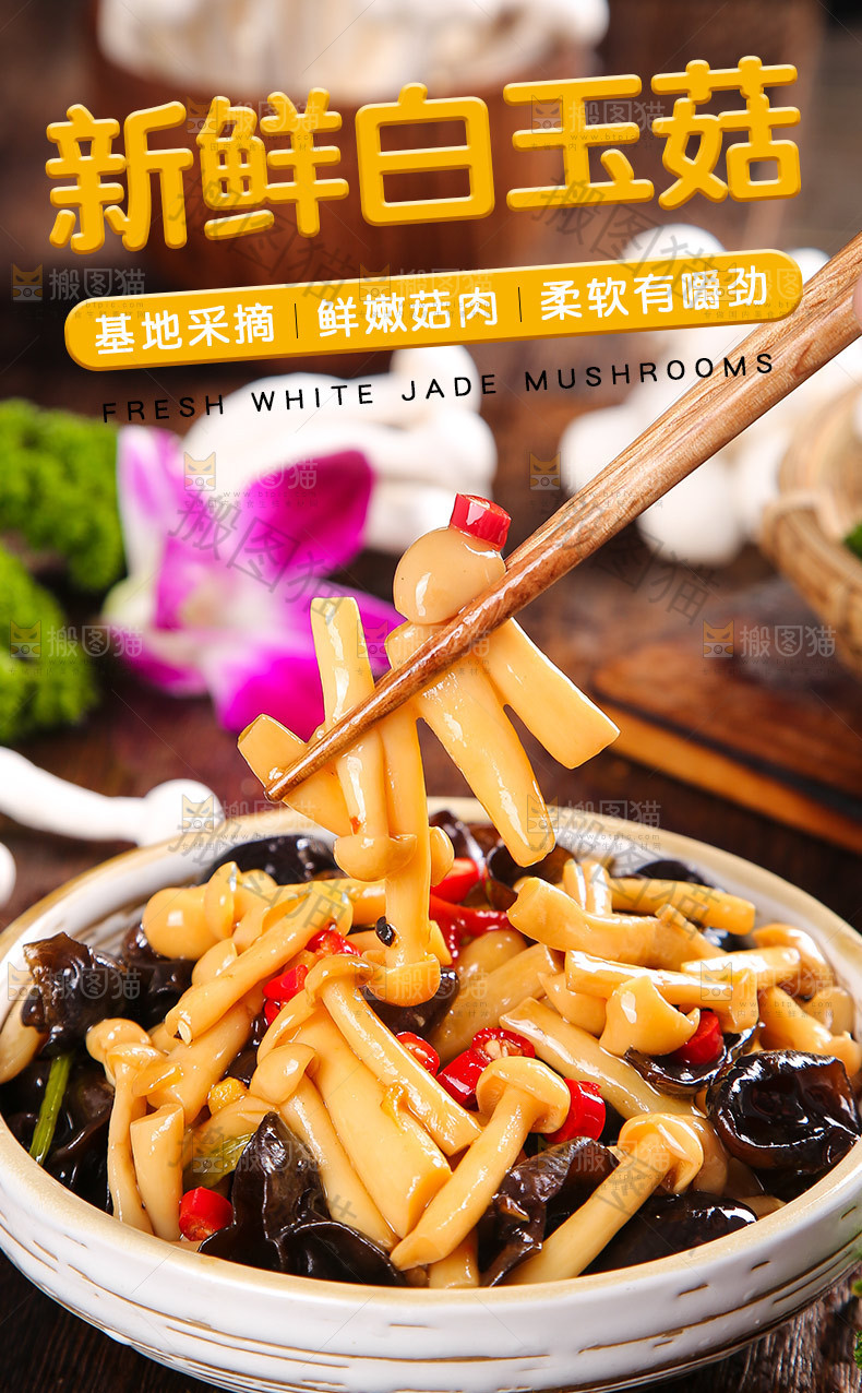 新鲜白玉菇