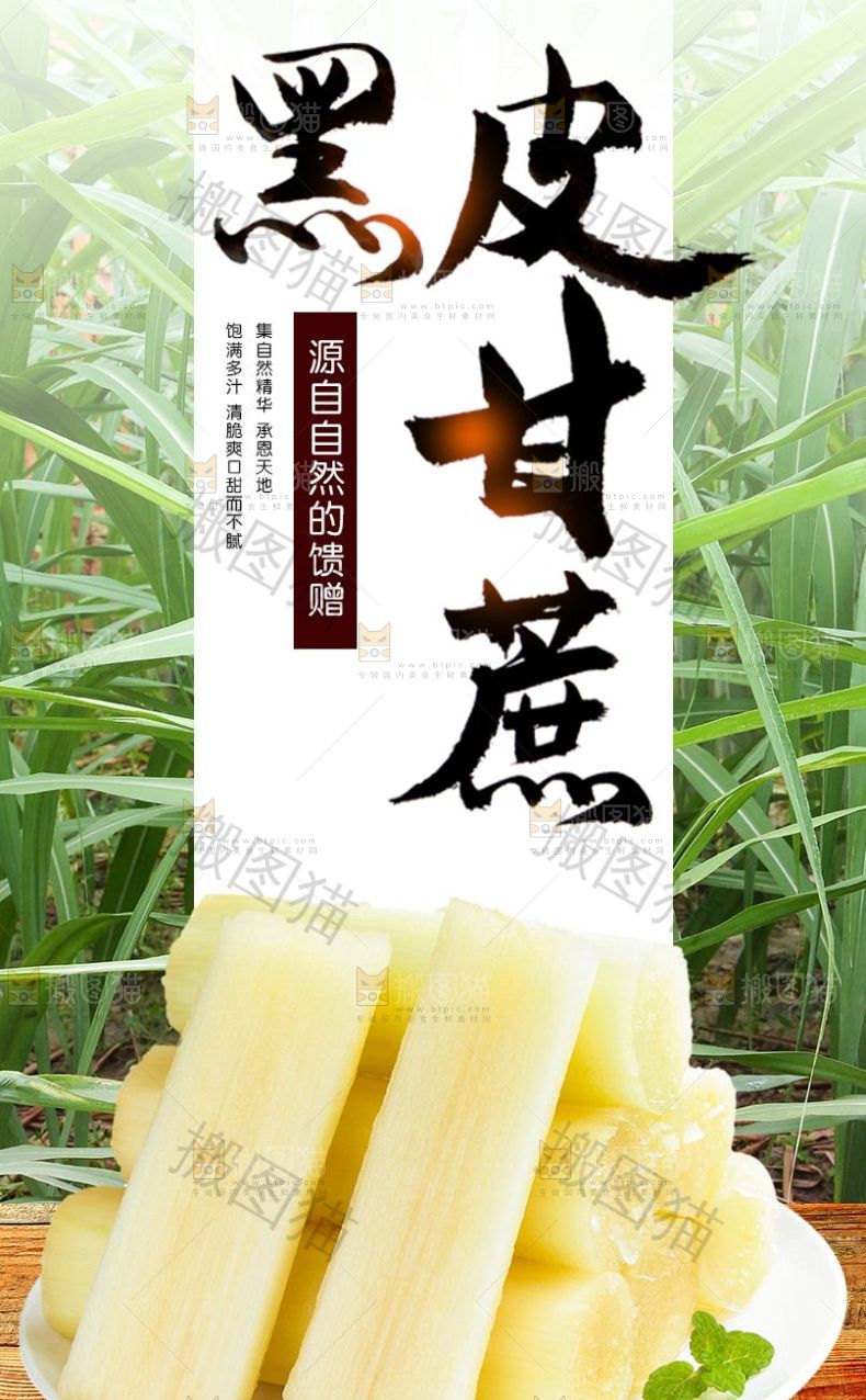 黑皮甘蔗详情