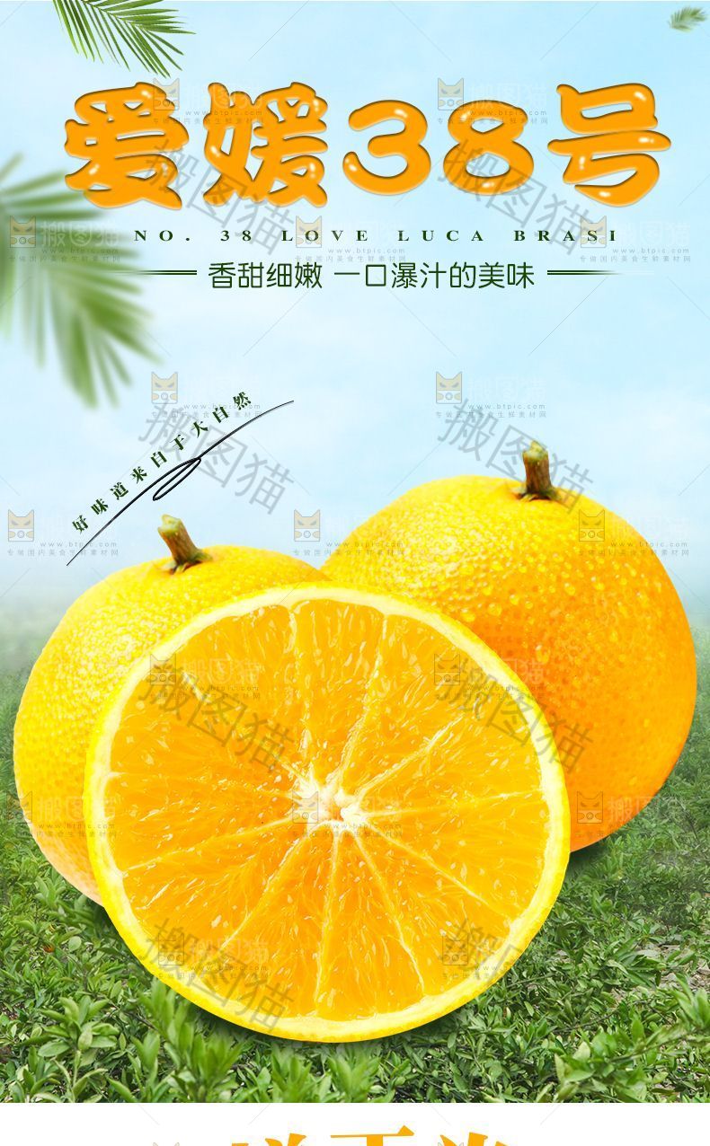 爱媛38号详情页