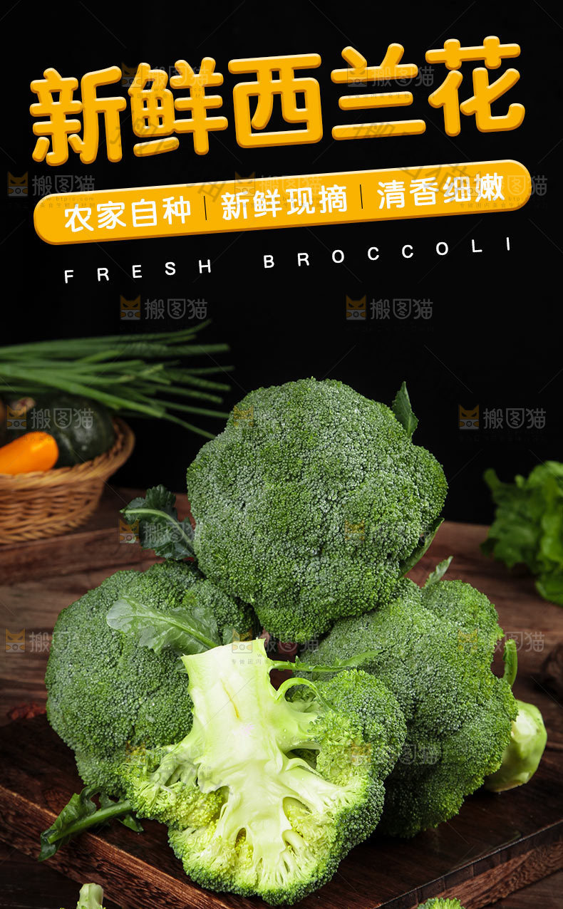 新鲜西兰花详情