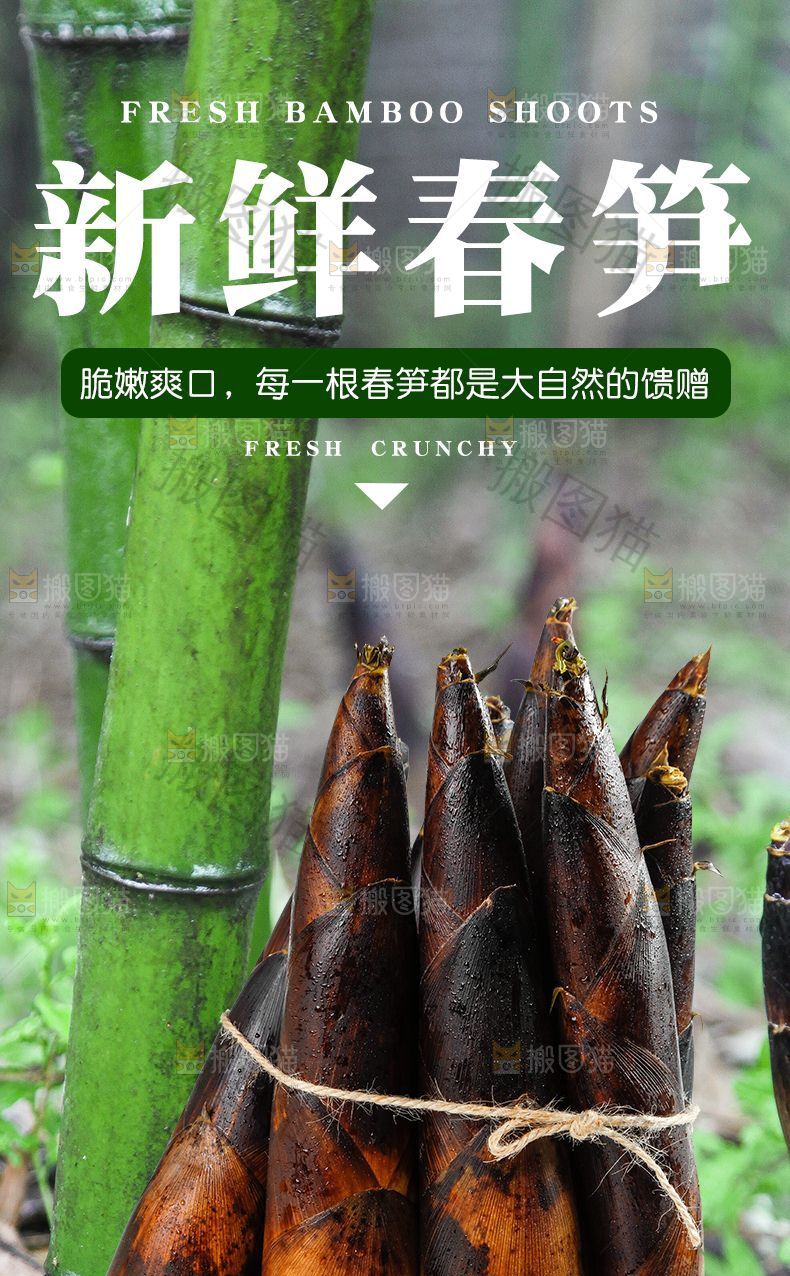春笋详情页设计