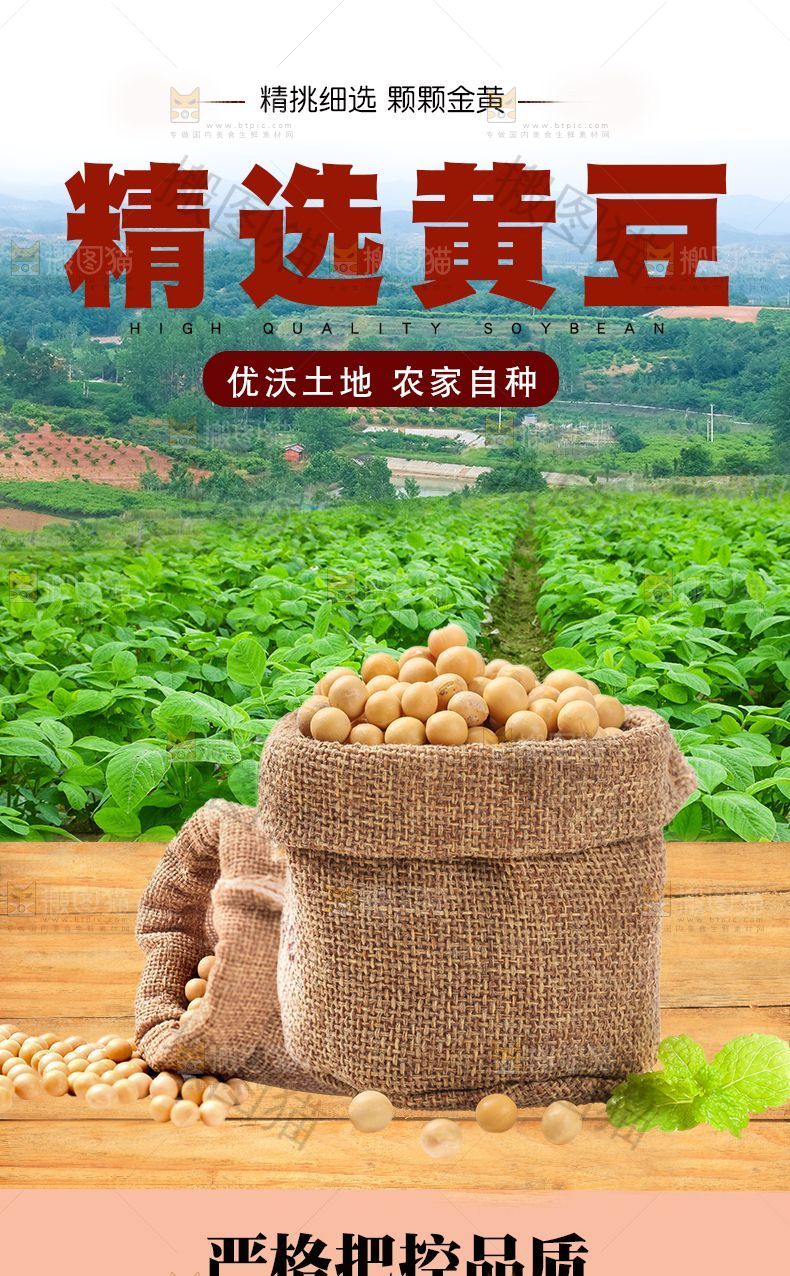 黄豆详情页设计