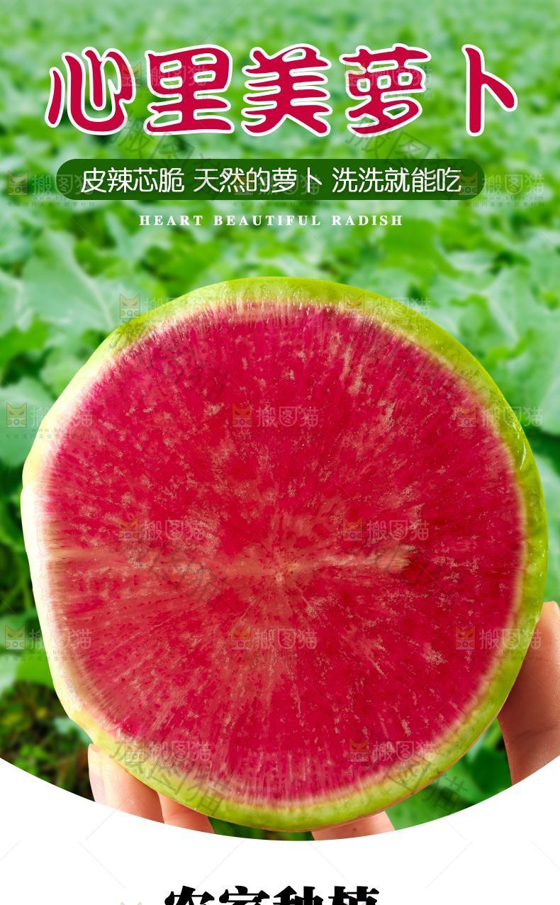 心里美萝卜详情页设计