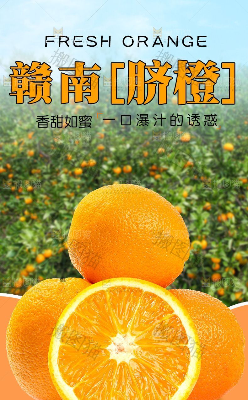 赣南脐橙详情页设计