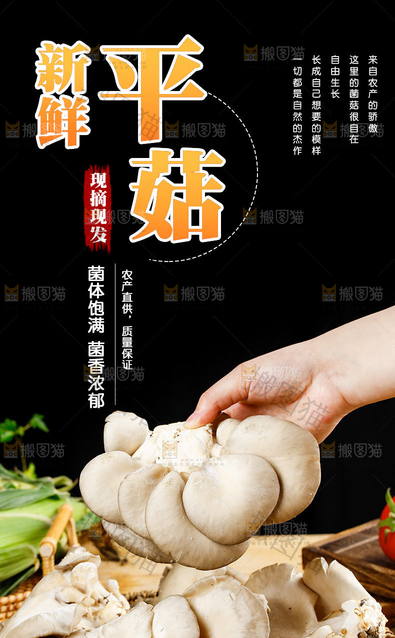 新鲜平菇
