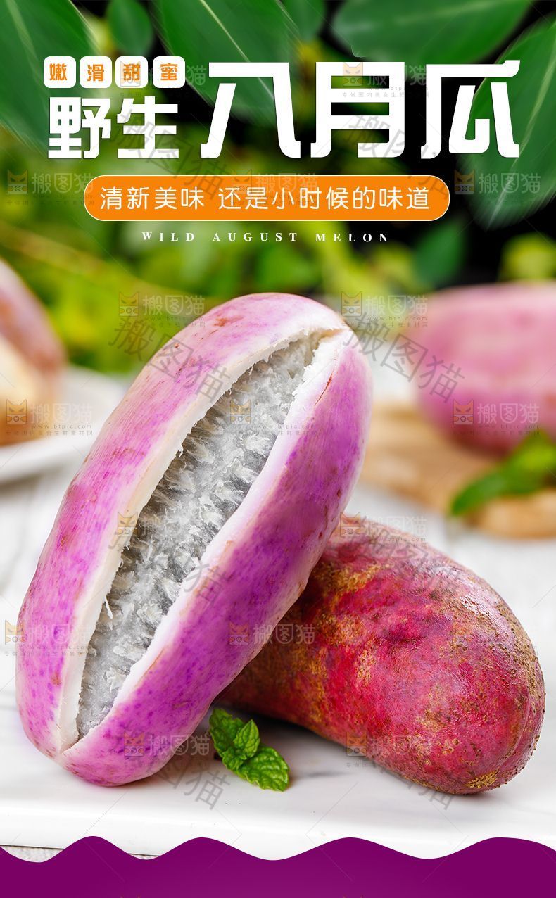 野生八月瓜详情