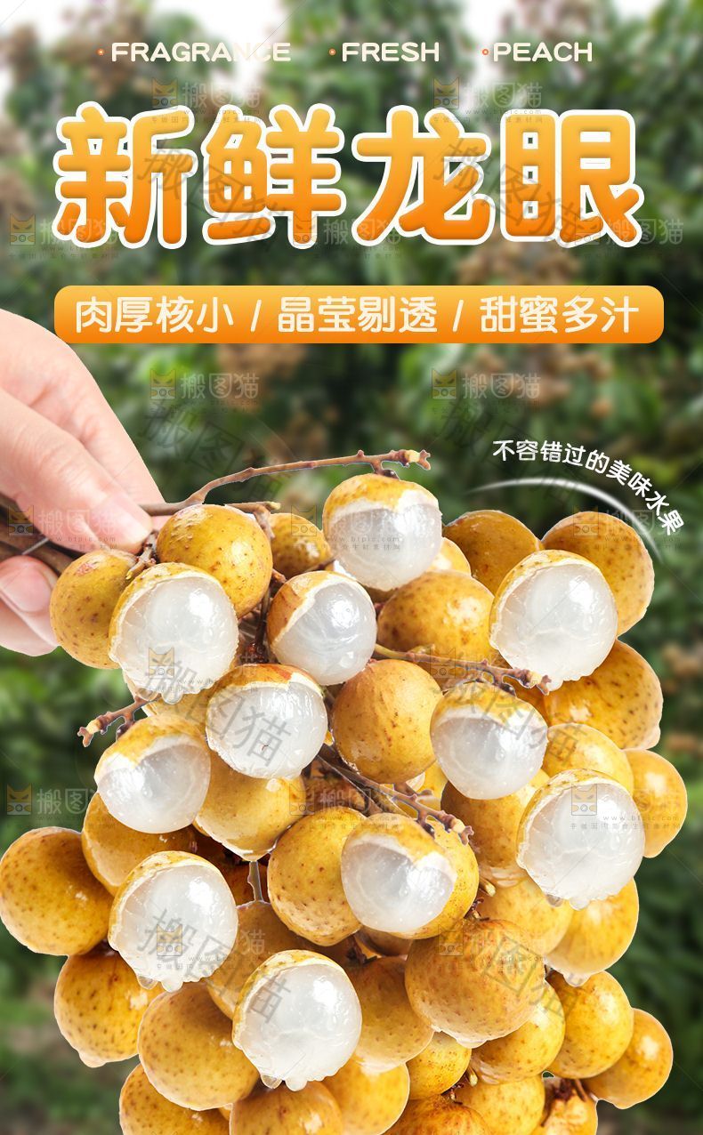 新鲜龙眼
