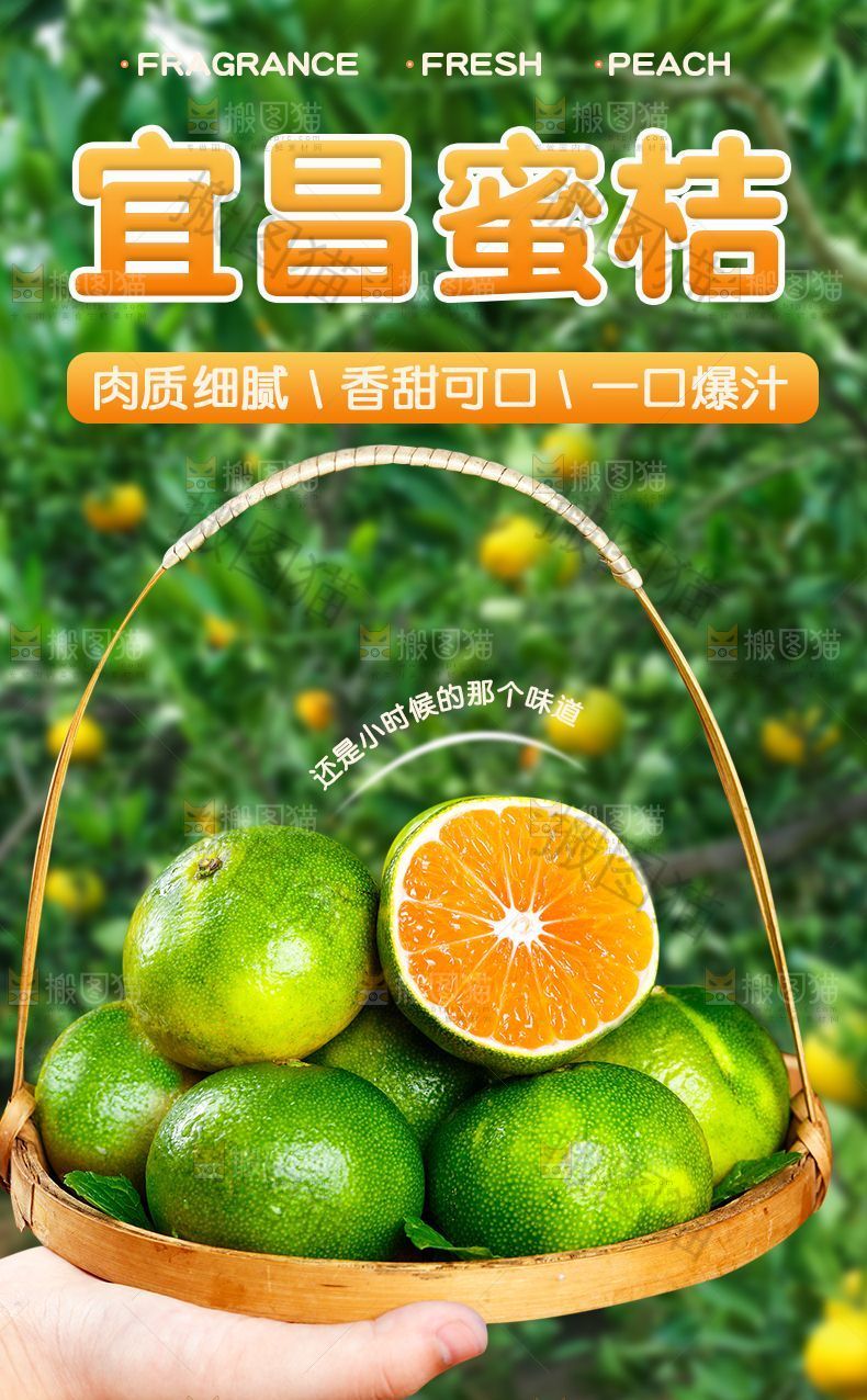 宜昌蜜桔详情