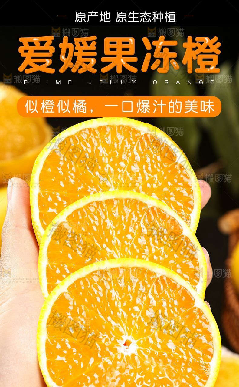 爱媛果冻橙详情页