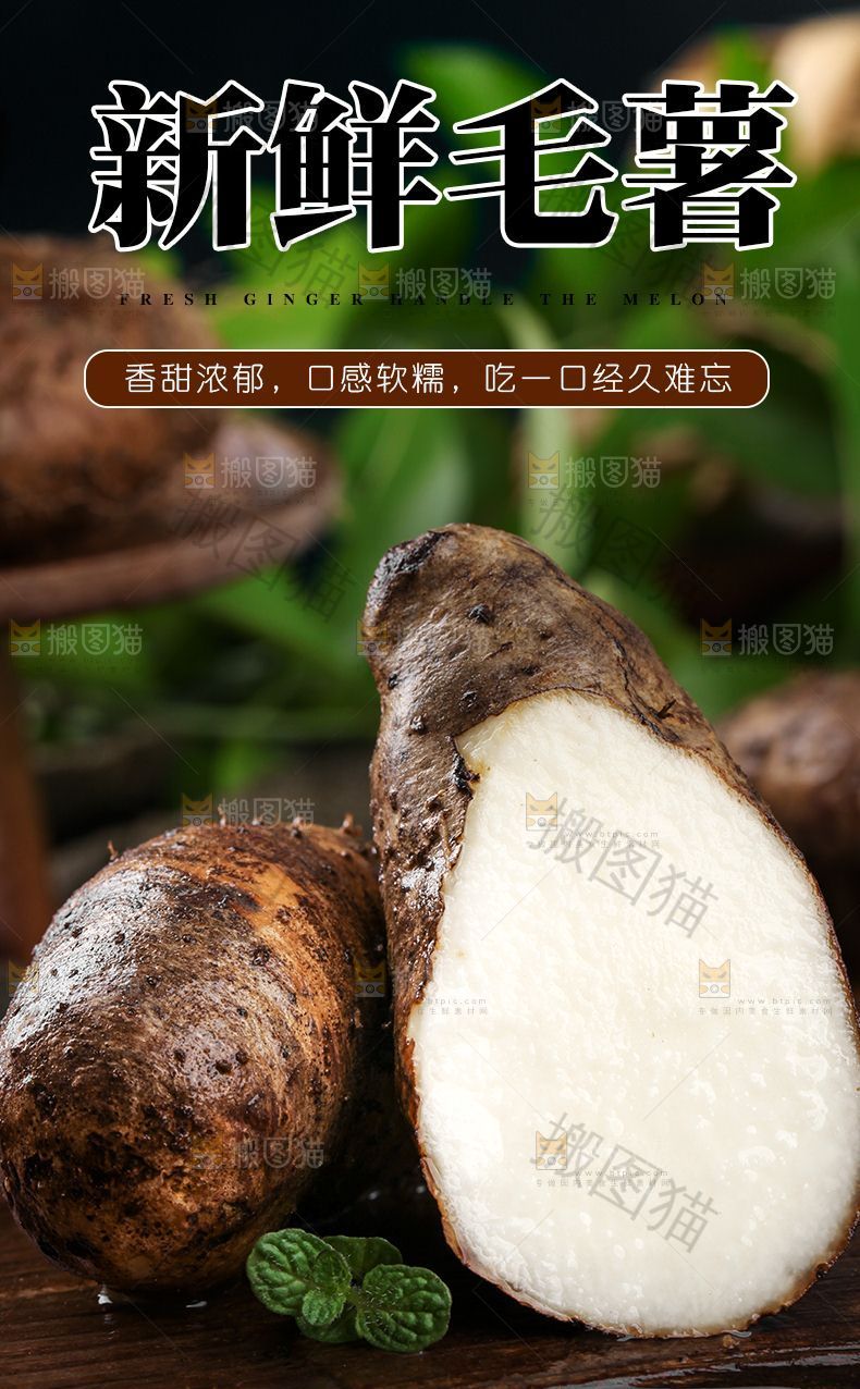 新鲜毛薯