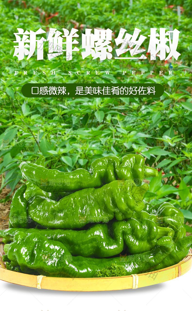 螺丝椒详情页设计