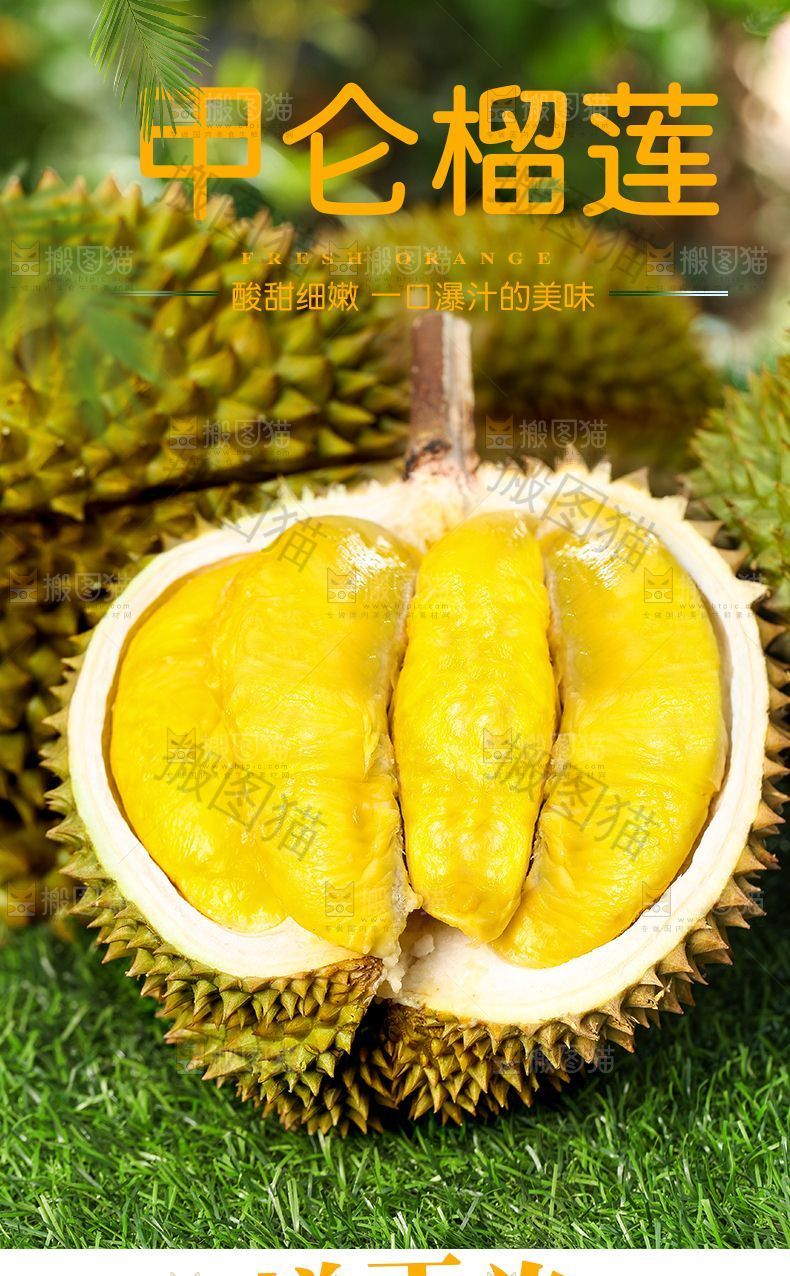 甲仑榴莲详情页
