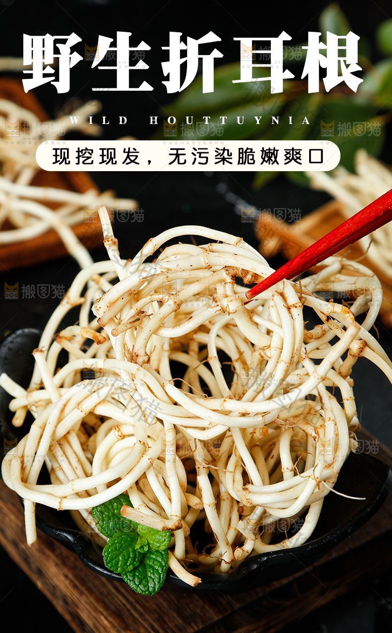 野生折耳根详情页设计
