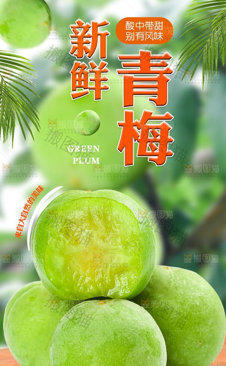 新鲜青梅详情页