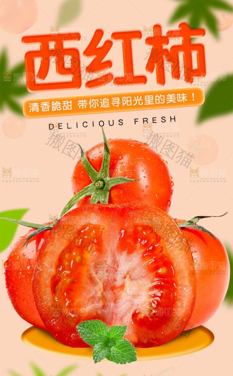 西红柿详情