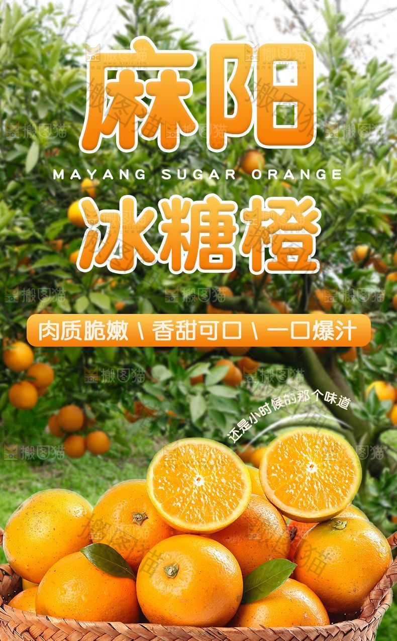 麻阳冰糖橙