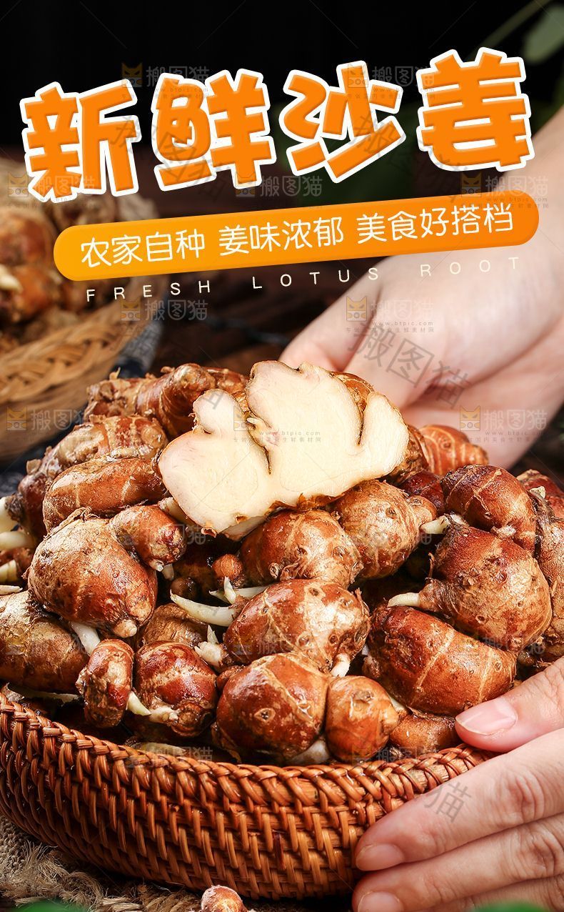 新鲜沙姜